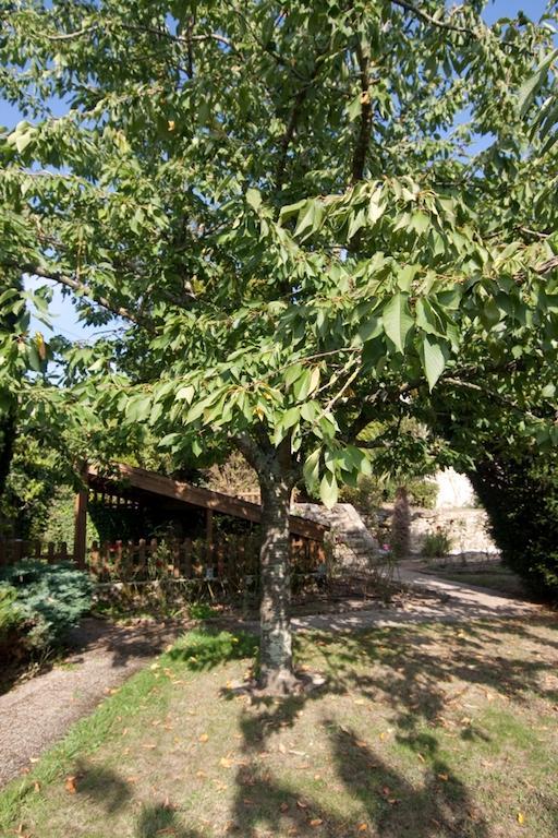 Le Petit Château Tiffauges Exterior foto