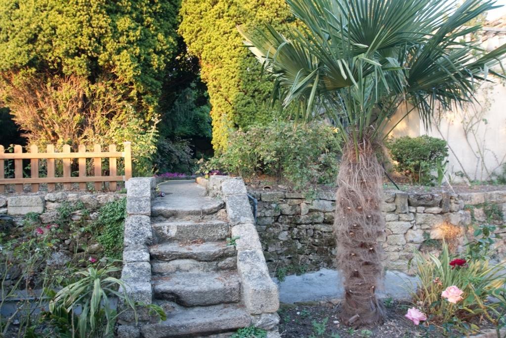Le Petit Château Tiffauges Exterior foto